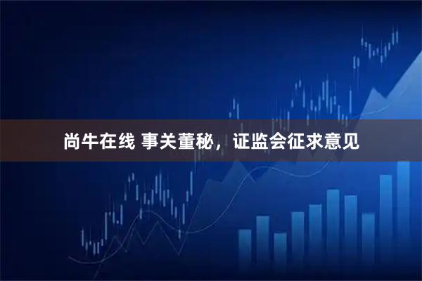 尚牛在线 事关董秘，证监会征求意见